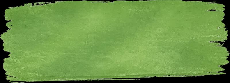 Pink hand-painted brush stroke behind the testimonials heading